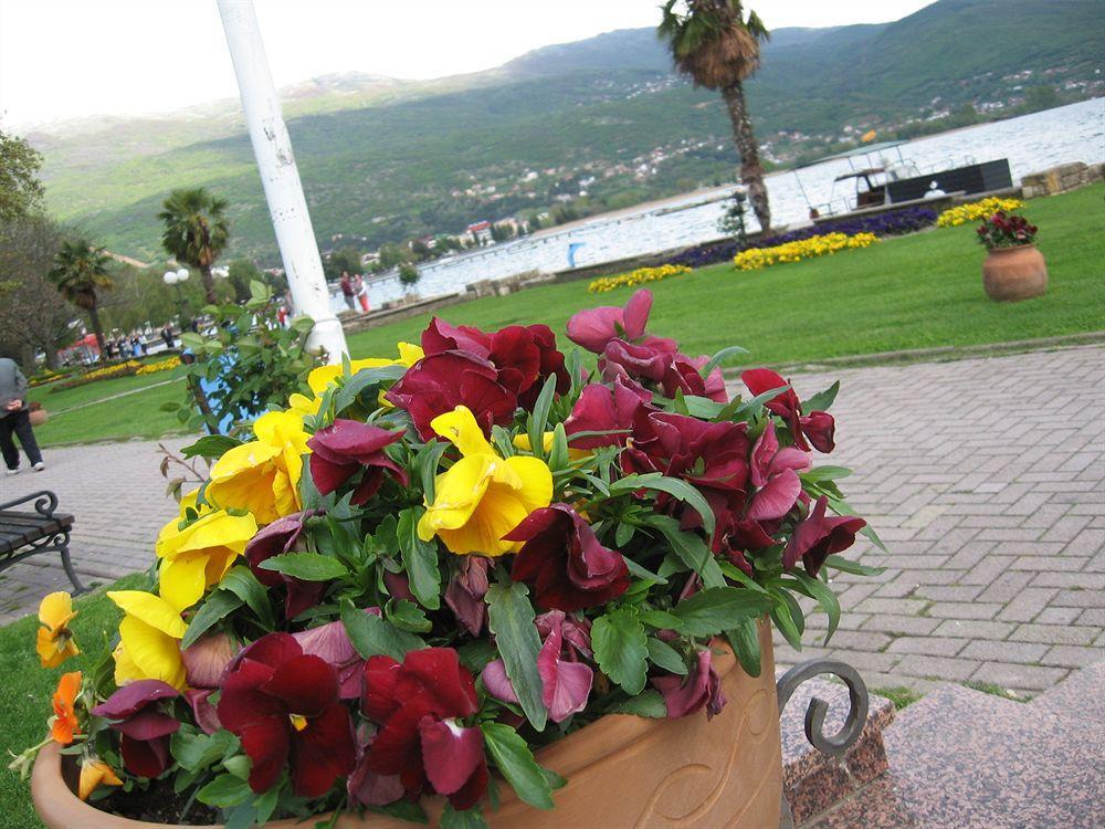 Vila Kosta City Center Port Ohrid Esterno foto