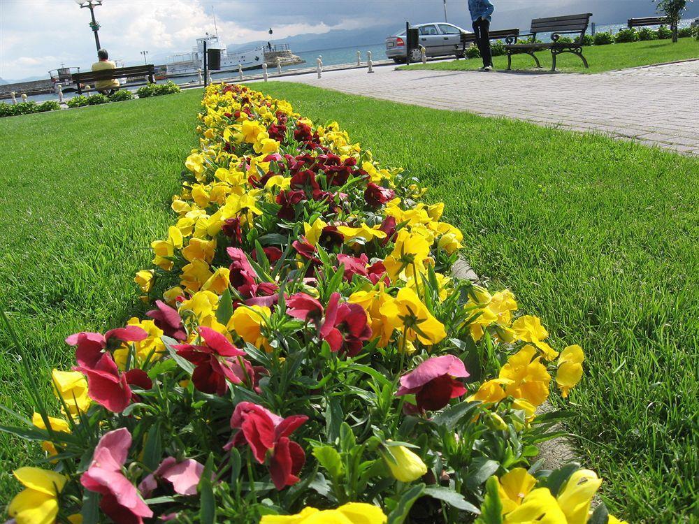 Vila Kosta City Center Port Ohrid Esterno foto